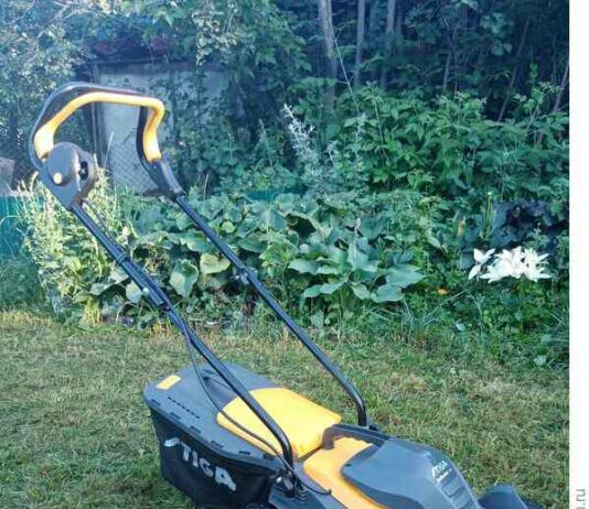 Самий довгоочікуваний приз отриманий!