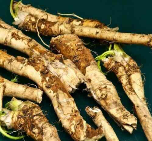 Як хрін впливає на потенцію чоловіка