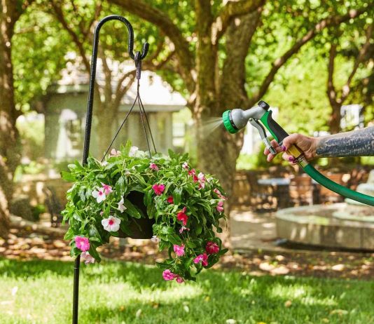 6 способів, як ви витрачаєте воду(і гроші!) Даремно навіть не усвідомлюючи цього цього літа