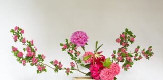 Ikebana: como dominar a arte japonesa dos arranjos florais