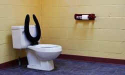 Глобальний гід туалетами: від присідань до сидінь по всьому світу
